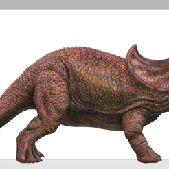 tri.png Triceratops