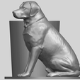 TDA0730_Dog_03A03.png Dog 03