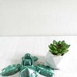 WhatsApp-Image-2023-10-24-at-8.23.02-AM.jpeg Flying Duckling Flexi