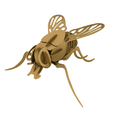 01.png Fly Mosca