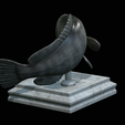White-grouper-open-mouth-1-11.png fish white grouper / Epinephelus aeneus trophy statue detailed texture for 3d printing