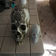 IMG_6127.jpg Artistic Skull