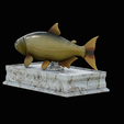 golden-dorado-statue-box-1-15.png fish golden dorado / Salminus brasiliensis with storage space / for 3d printing