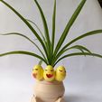 IMG-20240206-WA0071.jpg exeggutor Pokémon planter