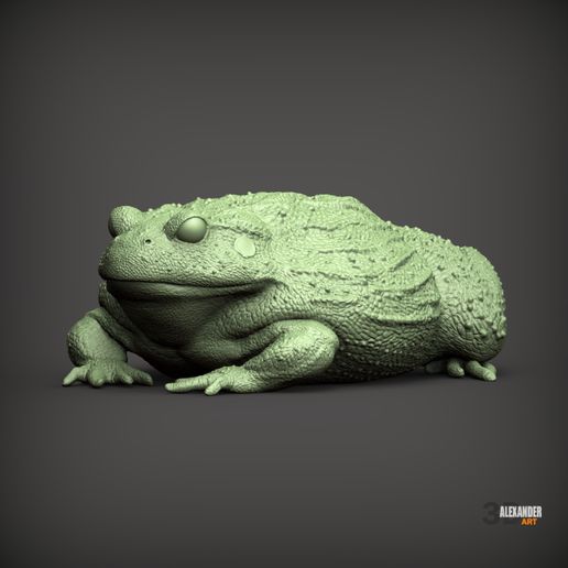 🐸 African Bullfrog・ STL File for 3D printing・Cults
