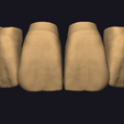 Screenshot-2023-11-02-154501.png teeth libraries