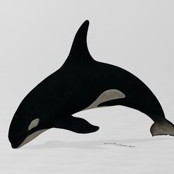 Capture.JPG Free STL file Orca・3D printing idea to download