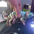 Bearded Dragon Articulated Toy, Print-In-Place Body, Snap-Fit Head, Cute Flexi