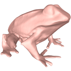 model.png Frosch