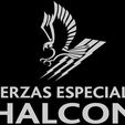 halcon.jpg Halcon Special Security Division