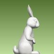 8.jpg Bunny Rabbit