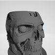 terminator1.png Mate T-800 (Terminator)