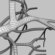 wfsub-0017.jpg Human venous system schematic 3D
