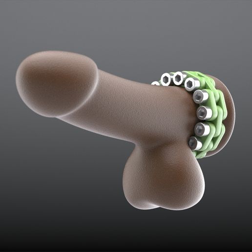 x1.jpg Anneau de bite à boulon