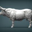 Texas-Longhorn2.jpg Texas Longhorn 3D-Druckmodell
