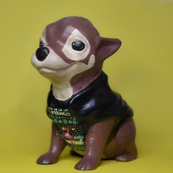 PUPPY (CHIHUAHUA) PORTRAIT