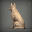 Australian-Cattle-Dog-sitting6.jpg Australian Cattle Dog Sitting Pose STL 3D print model