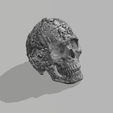 8.png Ornamental Sugar skull
