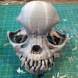 pug-skull-05.jpg Pug skull
