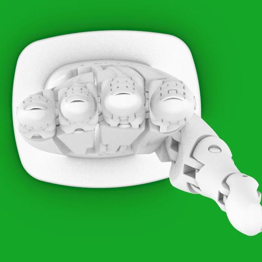 large (3).jpg Robotic Hand