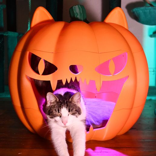 Giant Jack O Lantern Pumpkin Pet Bed - 3D model önizlemesi