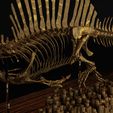 Spinosaurus-06.jpg Spinosaurus Diorama Swimming Skeleton
