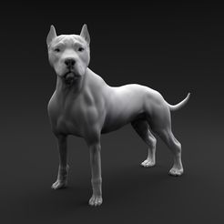 Pit_Bull_1.jpg 3D file Pit Bull Terrier・3D printer design to download