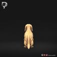 Dachshund-Miniature-Long-Haired-Pose-01-Dog-3D-Print-5s.jpeg Dachshund Miniature Long Haired Pose 01