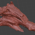 Sans-titre.png Tree stump photogrammetry