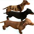 01.jpg DOG - DOWNLOAD Dachshund 3d model - Dog animated for blender-fbx-unity-maya-unreal-c4d-3ds max - 3D printing Dachshund DOG SAUSAGE - SAUSAGE PET CANINE WOLF
