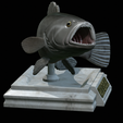 White-grouper-open-mouth-1-5.png fish white grouper / Epinephelus aeneus trophy statue detailed texture for 3d printing