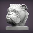 English-bulldog2.jpg English bulldog 3D print model