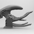 MK1-BUST.68.56.jpg Scout Alien Xenomorph Bust 3D Printing model