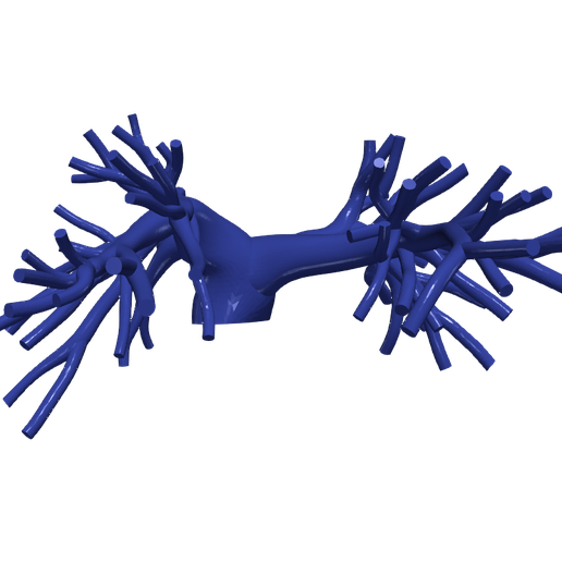 STL file 3d model of pulmonary arteries・3D printer model to download・Cults