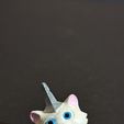 2.jpg Cat charm