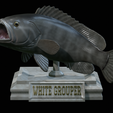 White-grouper-open-mouth-1-17.png fish white grouper / Epinephelus aeneus trophy statue detailed texture for 3d printing