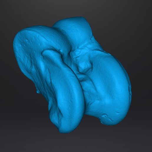 Realistic asyk (alchik) - 3D-scan