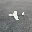 1000025731.jpg Dove Glider Tiniest Printable Airplane