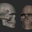 Screenshot_13.png Male Skull
