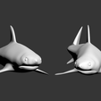 Captura-de-Tela-112.png shark