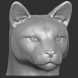 13.jpg Cougar / Mountain Lion head for 3D printing