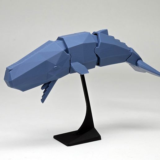 w-04.jpg Cachalote (Modelo posable)