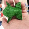 yoda