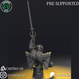 7.png Dame Aylin - BG3 Bust Collection 3D print model