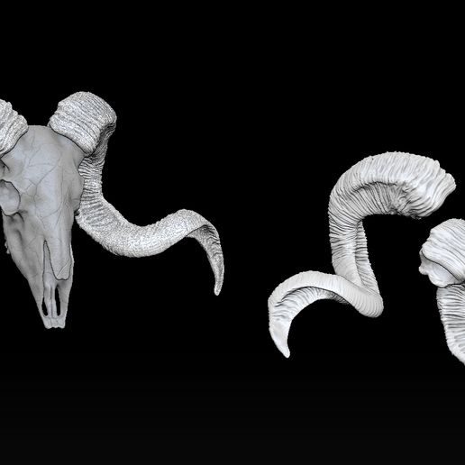 dsfsdfsd.jpg RAM SKULL