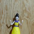 M1.jpeg Chi-chi Gelenkfigur