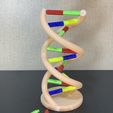 IMG_9643.JPG DNA model