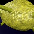 lymph-node-lymphatic-system-3d-model-fbx-blend-12.jpg Lymph node Lymphatic system 3D model