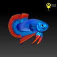 BettaV2_3.jpg Betta Fish 2 - Ready for 3D print