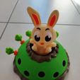IMG_20220611_075641.jpg bunny hop